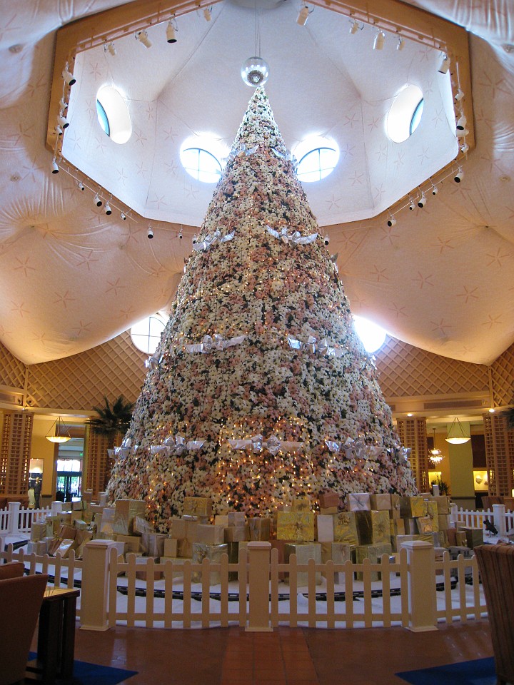 Vacation 2007-12 - Beaches Disney Hotels 0556.jpg - On the 2007-08 Florida vacation we visited beaches from Fort Myers to Sanibel Island sampling local food along the way. Green water and white sugar beaches! Arriving at Disney World we visited several of the theme resorts.